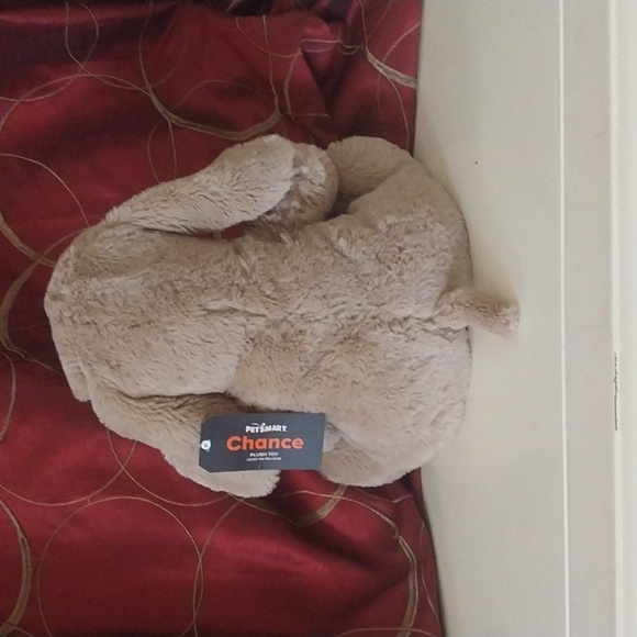 PETSMART plushy - Picture 4 of 5